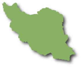 Brazilian forex broker