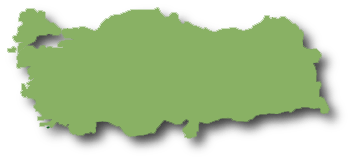 Forex trading turkiye