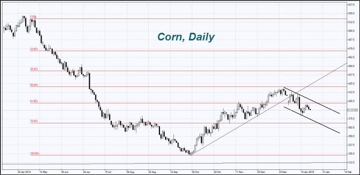 Corn