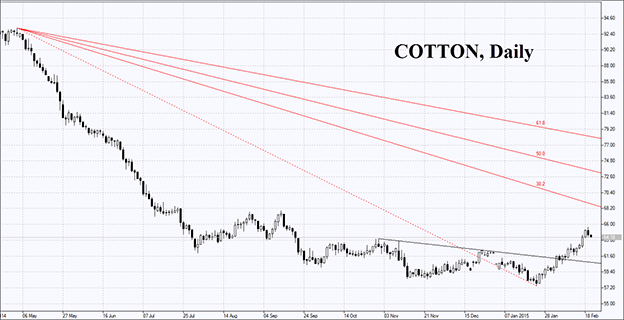 Cotton