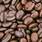 robusta
