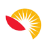 sun sun
