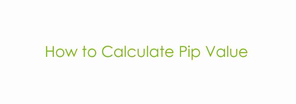 Pip calculator